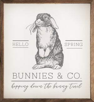Hello Spring Bunnies And Co White